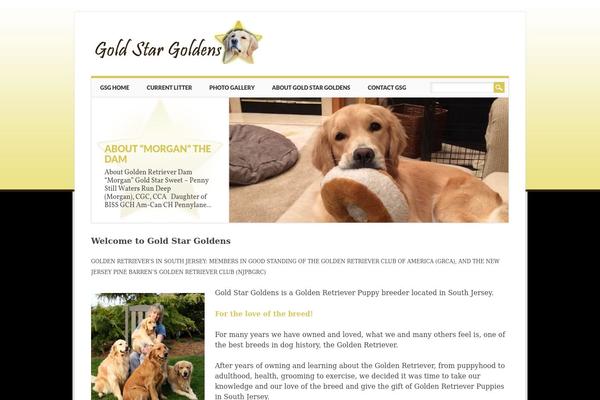 Attorney theme site design template sample