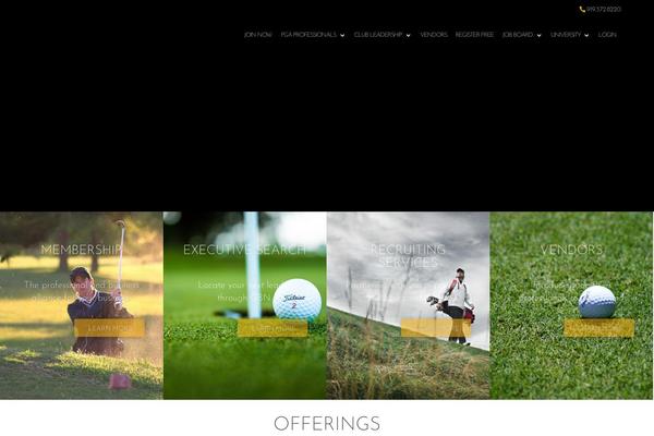 Site using Divi-booster plugin