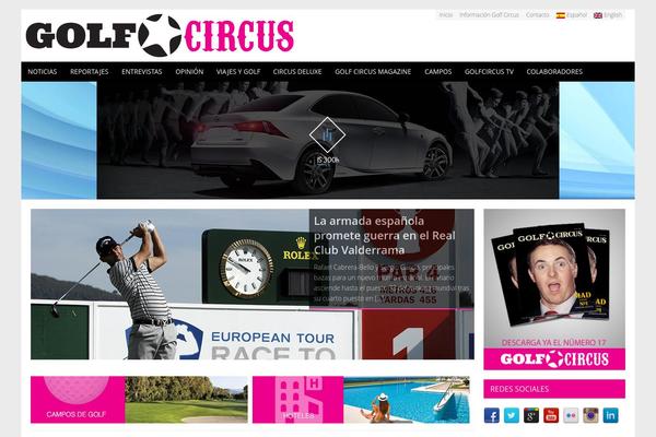 Site using Skaut-google-drive-gallery plugin