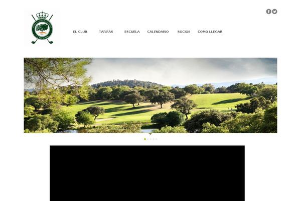 theme46546 theme websites examples