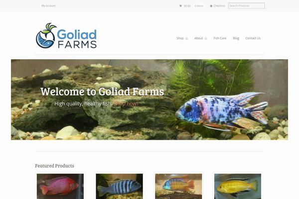 Mystile theme site design template sample