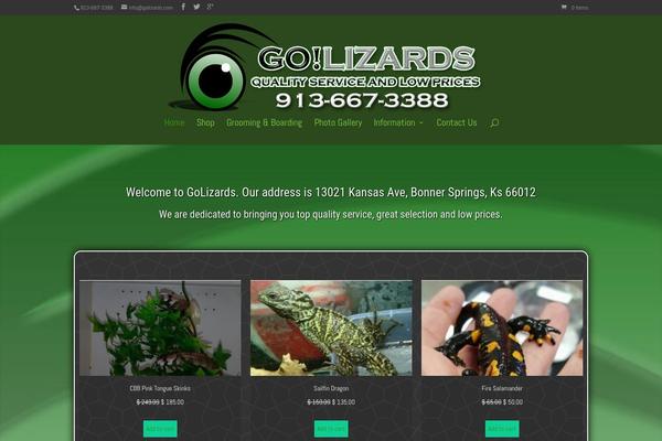 golizards.com site used The7