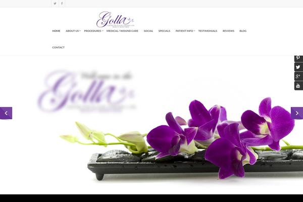 Site using Google Analytics Dashboard By Analytify plugin