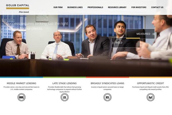 golub theme websites examples