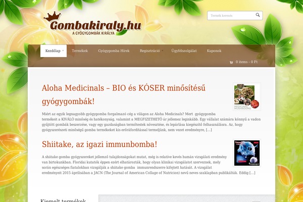 Wootique theme site design template sample
