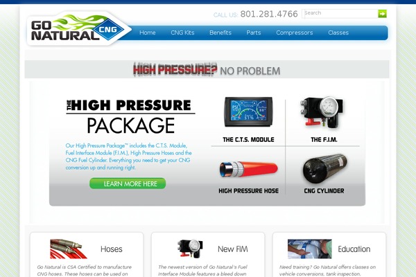 gonaturalcng.com site used Themebo