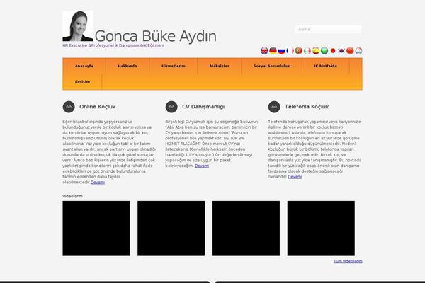 Pitch theme site design template sample