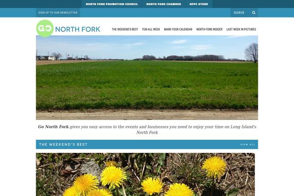Wellington theme site design template sample