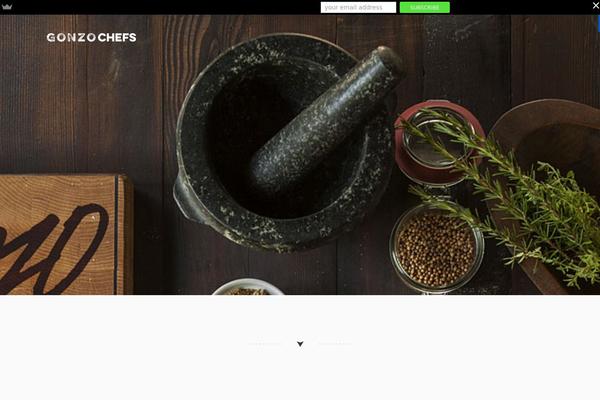 Rise_pro theme site design template sample