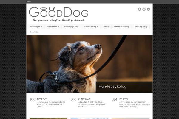 Modernize theme site design template sample