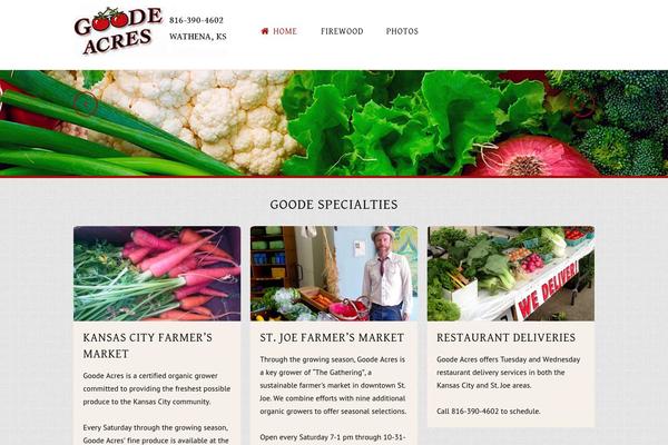 Salvation theme site design template sample