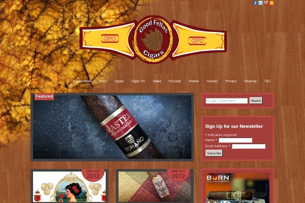 Scylla_pro theme site design template sample