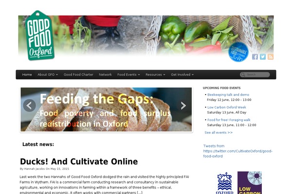 Site using Better Google Analytics plugin