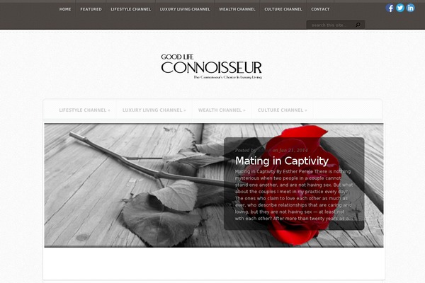 Aggregate Child theme site design template sample