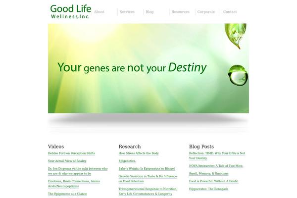 Display theme site design template sample
