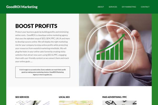 Author Pro theme site design template sample