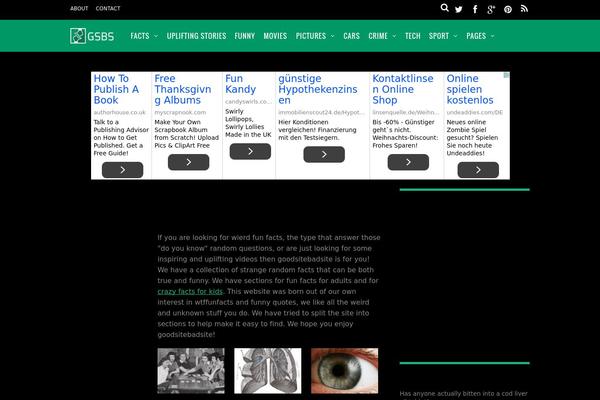 Magazine theme site design template sample