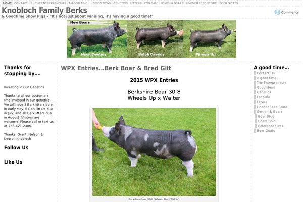 goodtimeshowpigs.com site used Atahualpa332