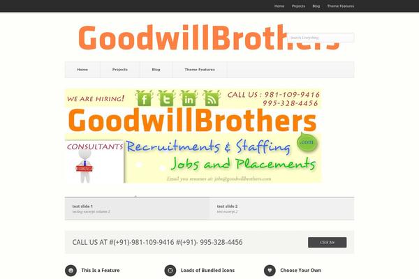 Pitch theme site design template sample