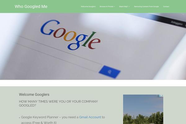 AwesomeOne theme site design template sample