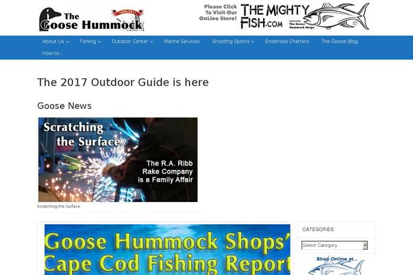 Site using Latest Posts Widget plugin