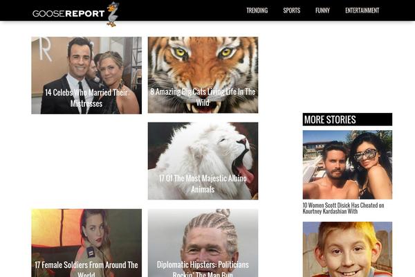 cm-theme theme websites examples