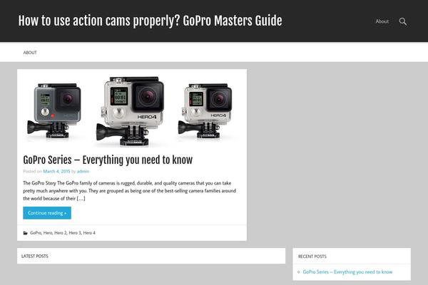 Momentous Lite theme site design template sample