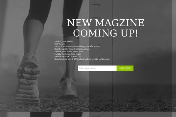 TheStyle theme site design template sample
