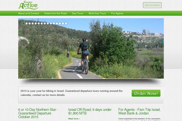 Boldy theme site design template sample