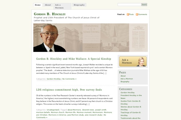 Misty Look theme site design template sample