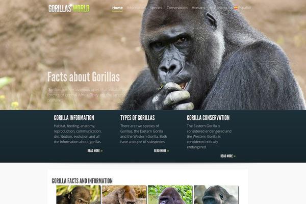 Acabado theme site design template sample
