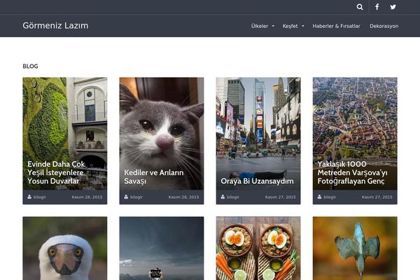 Parallelus-go-explore theme site design template sample