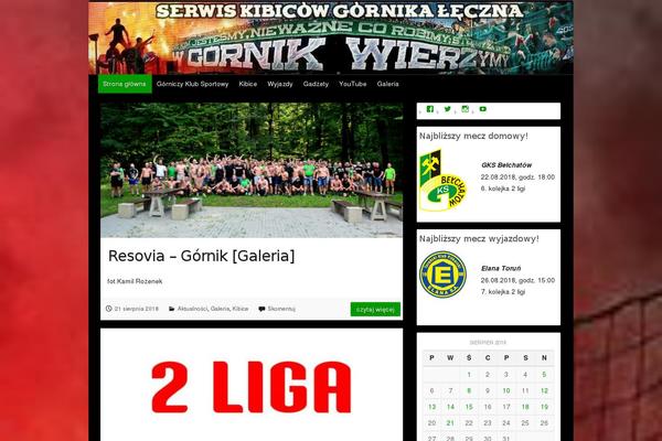 gornik-leczna.com site used Travelify Child