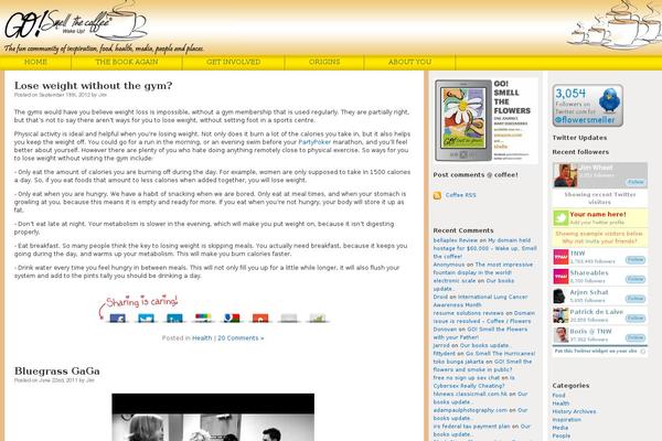 Site using Viper's Video Quicktags plugin