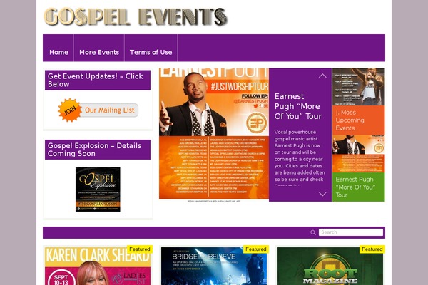 FlyingNews theme site design template sample