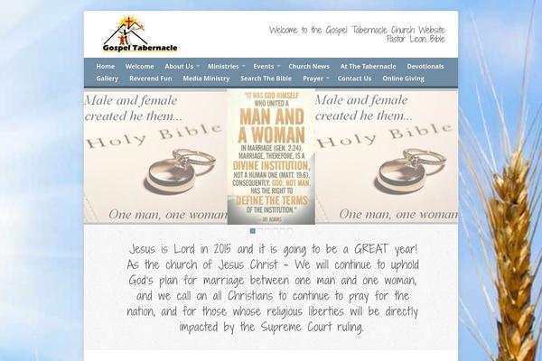 Risen theme site design template sample