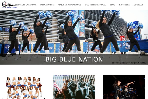 Magic theme site design template sample