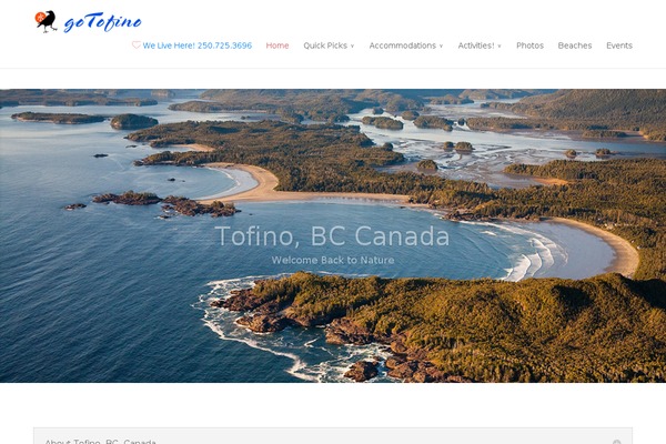gotofino.com site used Gtcdivi