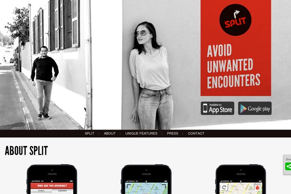 Split theme site design template sample