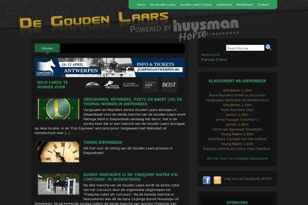 Motion theme site design template sample
