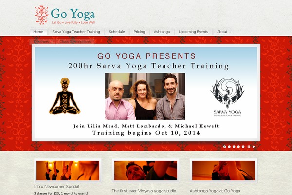 PureVISION theme site design template sample
