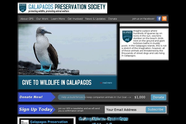 Foundation theme site design template sample