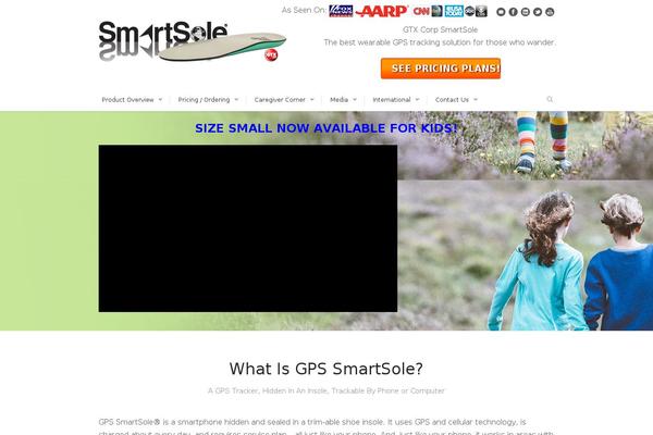 Flawless theme site design template sample