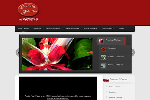 Polished theme site design template sample