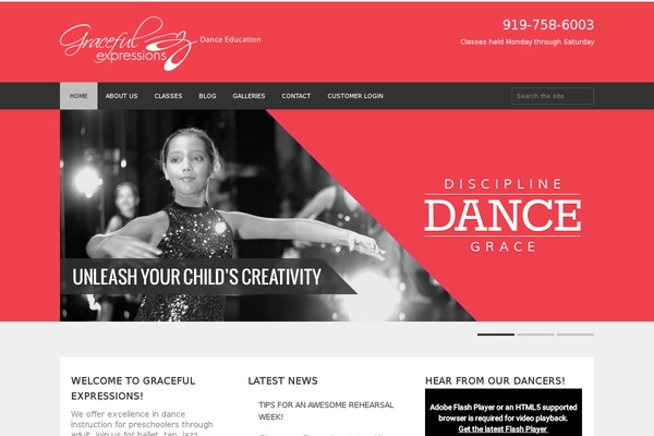 Fitness-wp theme site design template sample