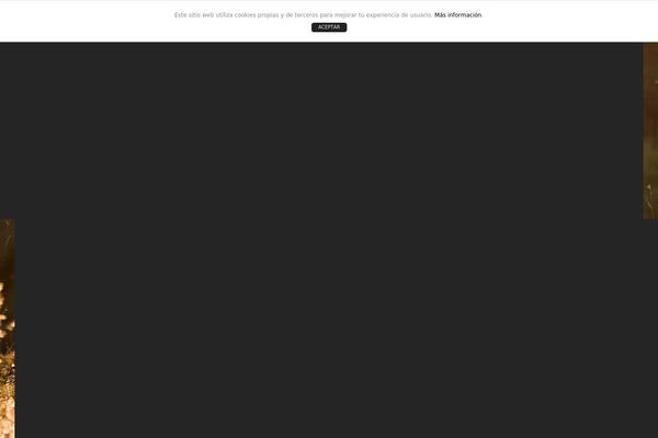 Blacksilver theme site design template sample