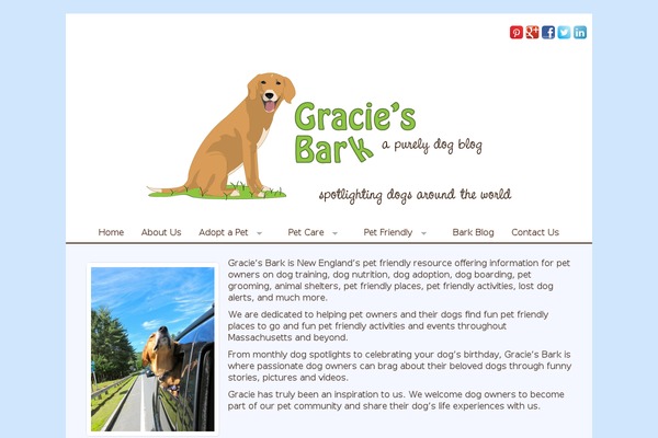 Blogbox theme site design template sample