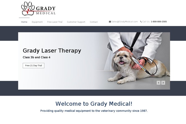 Medical Doctor theme site design template sample