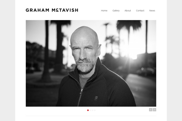 Portfolio theme site design template sample