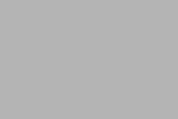 Site using While Loading plugin